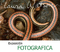 Exposicin Fotogrfica - Laura Watson